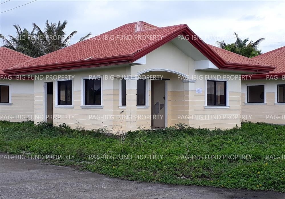 Image for Lot 17 Blk. 3 Peter Homes Subdivision Bio-Os, Amlan (Ayuquitan), Negros Oriental, 6203