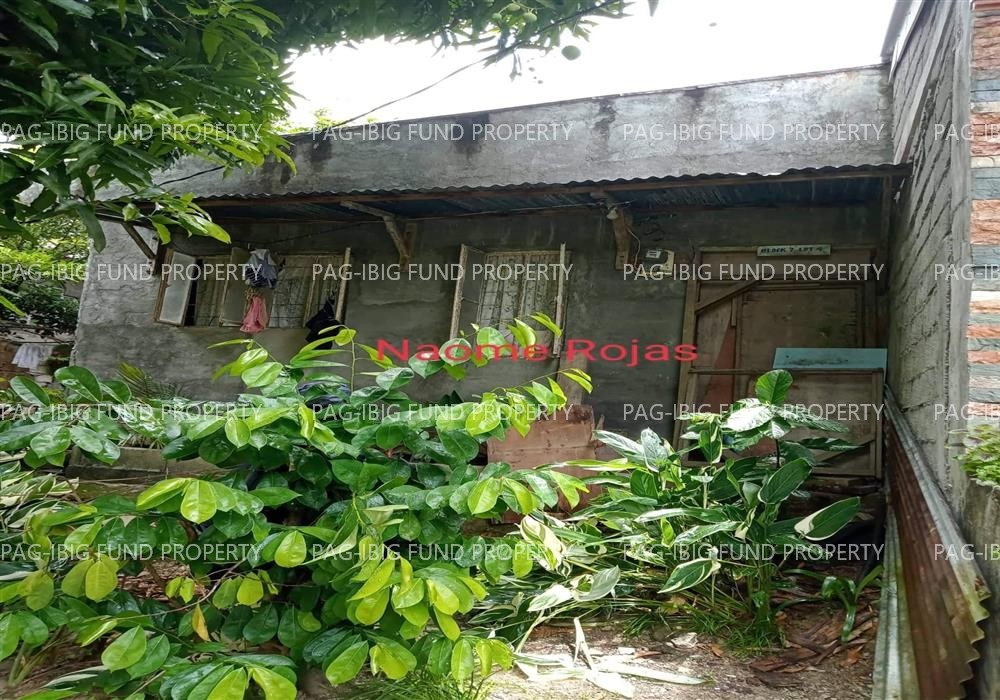 Image for Lot 4 Blk. 7 City Homes Subdivision Tagbayaon, Jiabong, Samar, 6701
