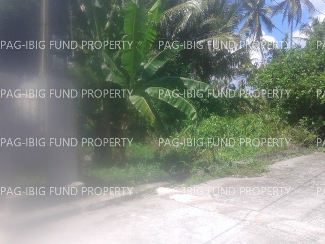 Image for Lot 26 Blk. 6 Dona Rufina P Tan Subdivision Guintagbucan, Abuyog, Leyte, 6510