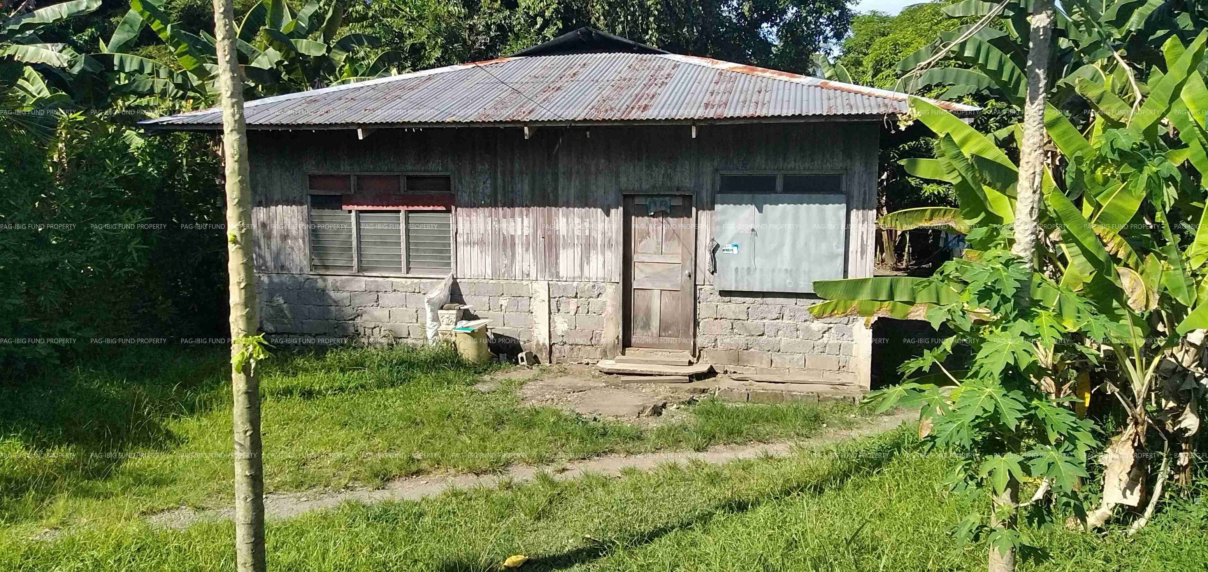 Image for Lot 1756-B-1 Non-Subdivision Bunga, Abuyog, Leyte, 6510