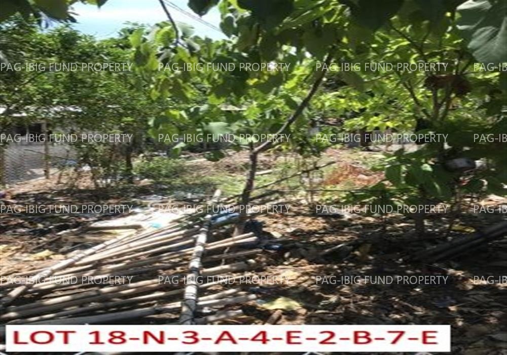 Image for Lot 18N3A4E2B7E Non Subdivision Ipil, Ormoc City, Leyte, 6541