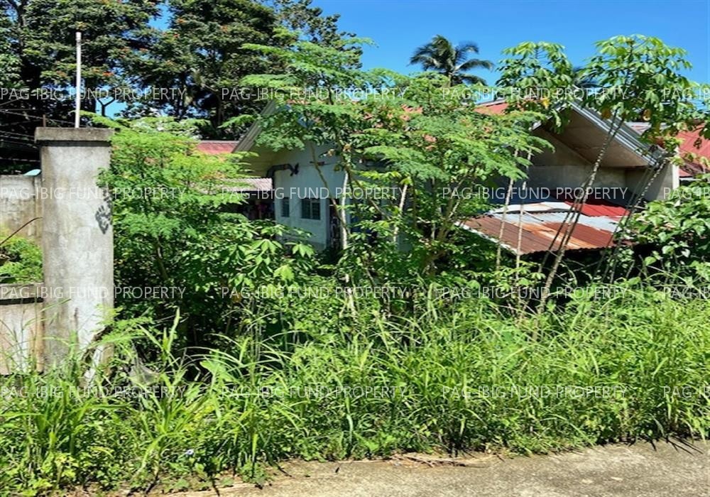 Image for Lot 20 Blk. 3 Phase - Villa Buenavista Buenavista, Pagadian City, Zamboanga Del Sur, 7016