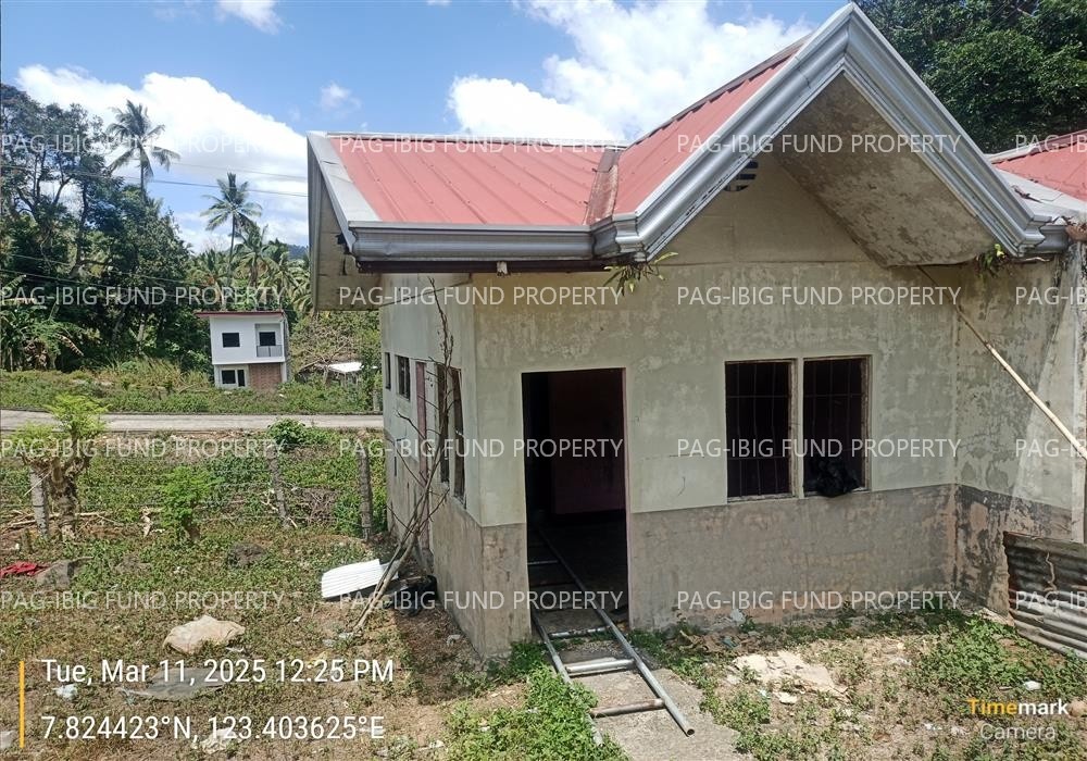 Image for Lot 32 Blk. 4 Villa Buenavista Buenavista, Pagadian City, Zamboanga Del Sur, 7016