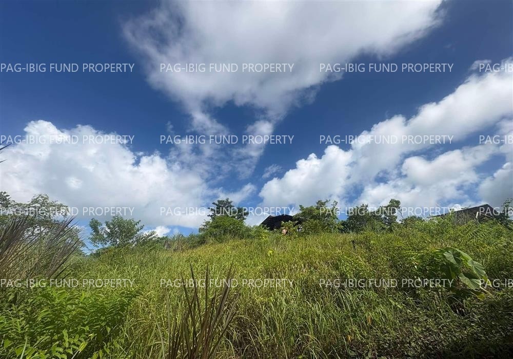 Image for Lot 10 Blk. 20 Teachers Village Canlanipa, Surigao City, Surigao Del Norte, 8400