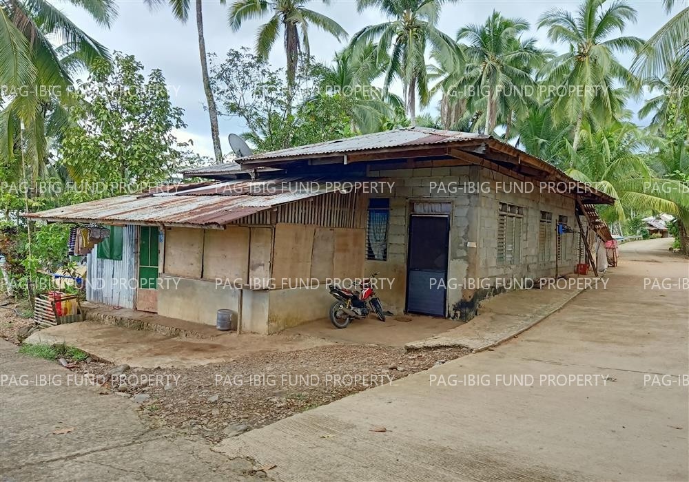 Image for Lot 6042 Non Subdivision Mabahin, Cortes, Surigao Del Sur, 8313