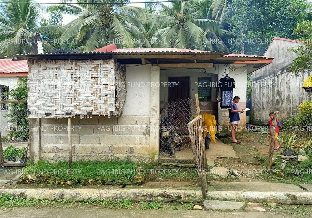 Image for Lot 7 Blk. 2 Tropical Heights Bayugan 2, San Francisco, Agusan Del Sur, 8501