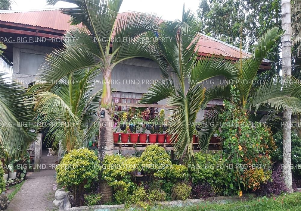 Image for Lot 29B5D & 29B5E 10th Meralco Meralco Housing Project Poblacion, Polomolok, South Cotabato, 9504