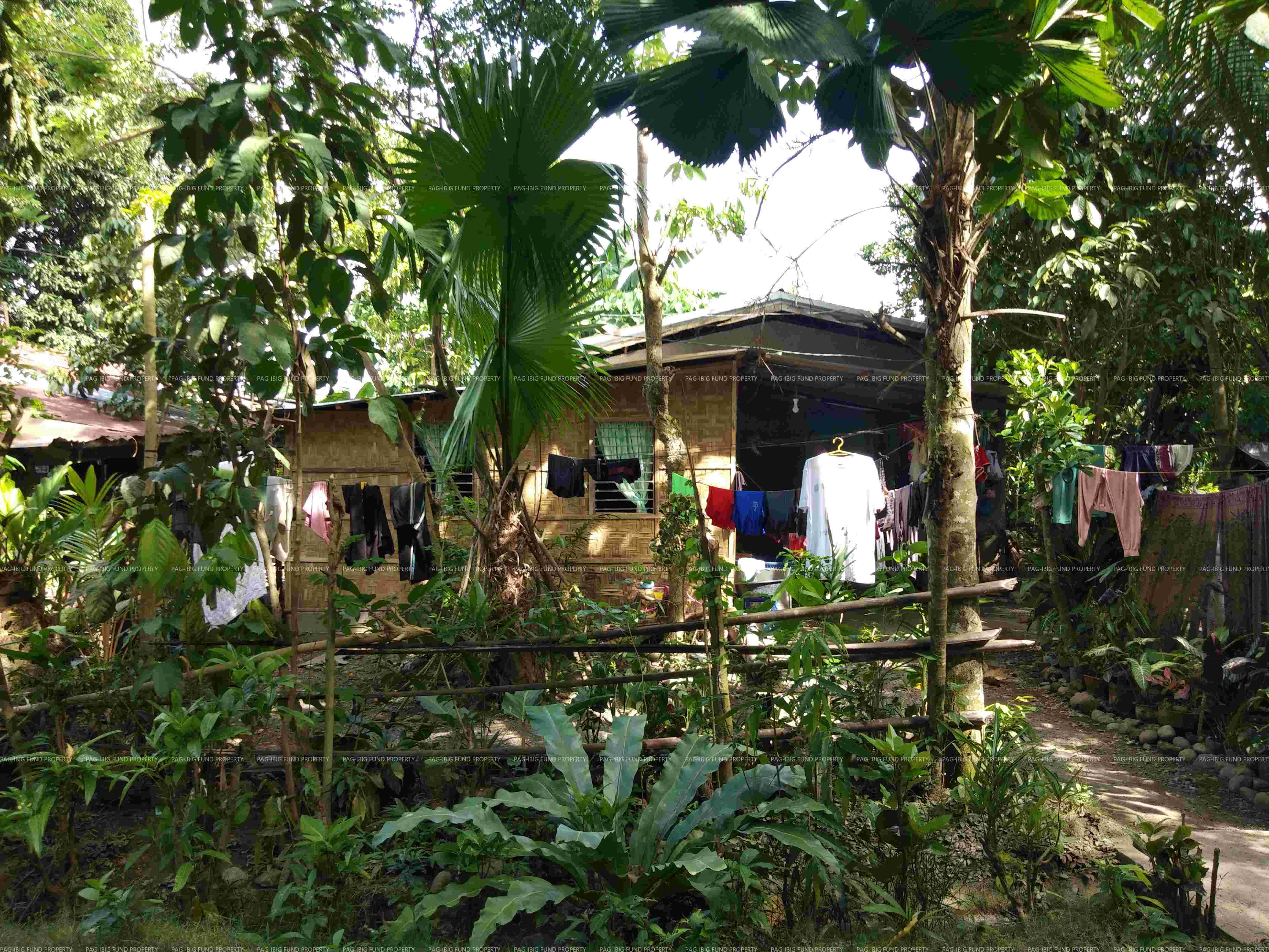 Image for Lot 13 Blk. 6 Phase I Stanfilco Housing Talomo, Santo Tomas, Davao Del Norte, 8112