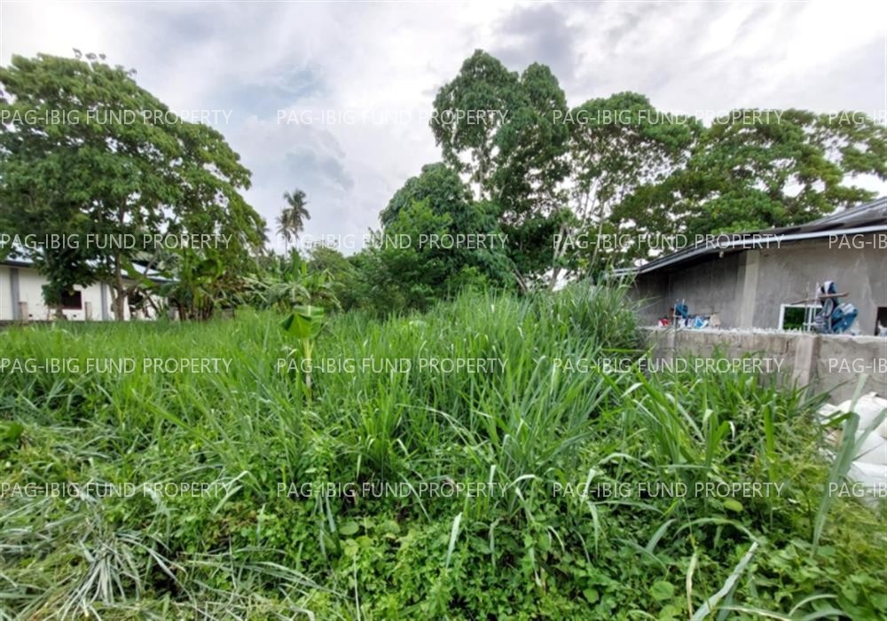 Image for Lot 12 Blk. 7 Tower Hamlets Village New Visayas, Panabo City, Davao Del Norte, 8105