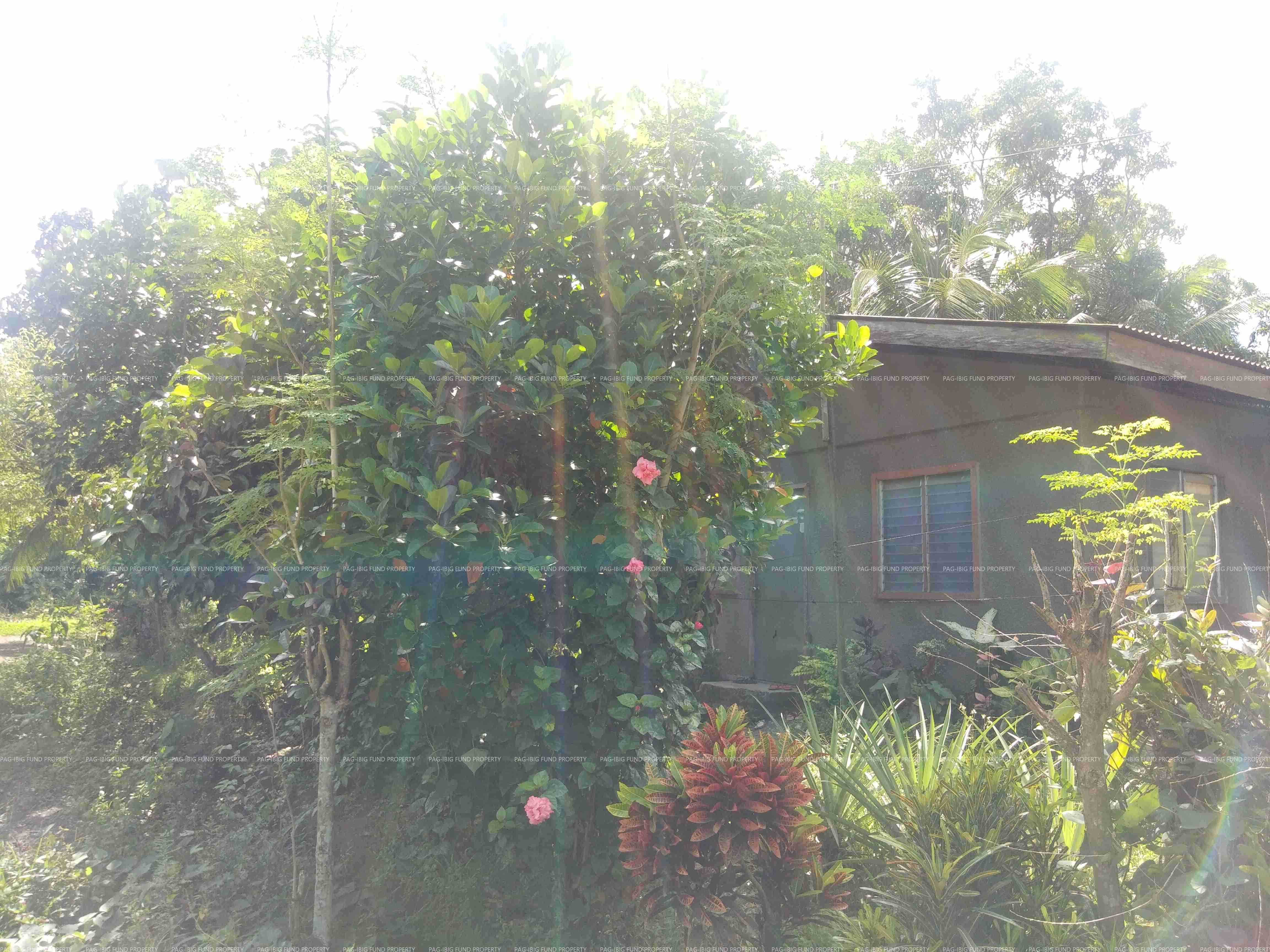 Image for Lot 3 Blk. 6 Stanfilco Subdivision Luna, Kapalong, Davao Del Norte, 8113