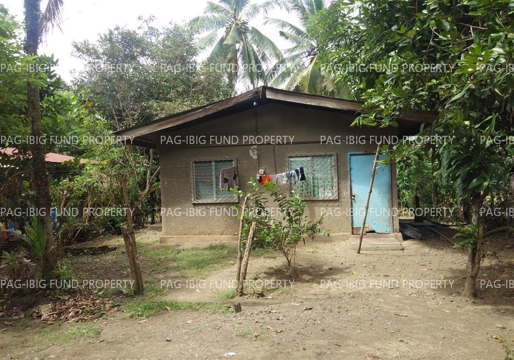 Image for Lot 14 Blk. 1 Stanfilco Subdivision Luna, Kapalong, Davao Del Norte, 8113