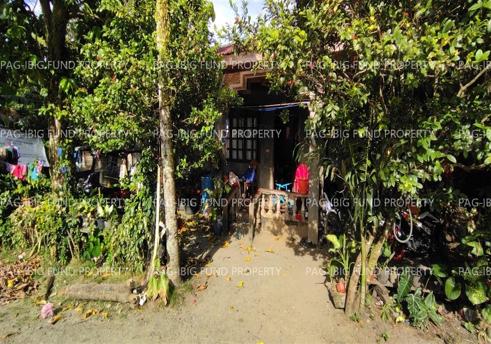 Image for Lot 1836-F-7 Sitio Dasing Mesaoy, New Corella, Davao Del Norte, 8104