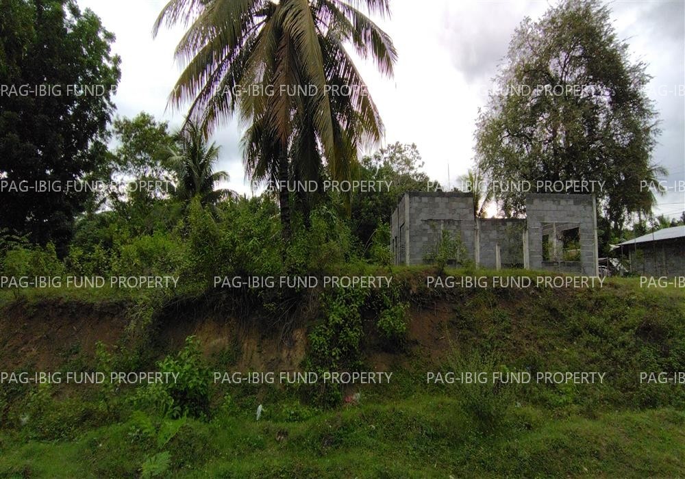 Image for Lot 920 Non-Subdivision Poblacion, Pikit, North Cotabato, 9409
