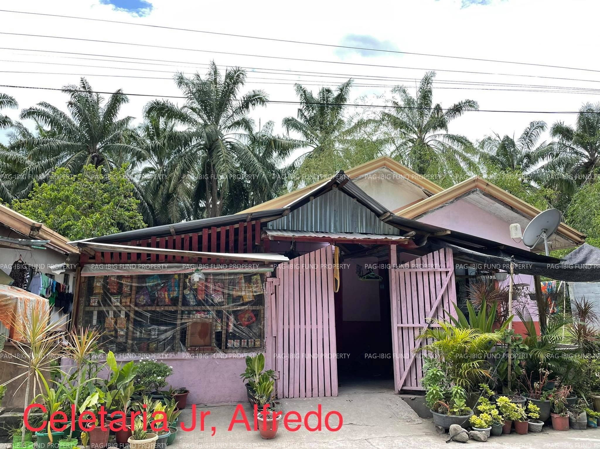 Image for Lot 15 Blk. 2 Villa Irene Subdivision Dansuli, Isulan (Capital), Sultan Kudarat, 9805