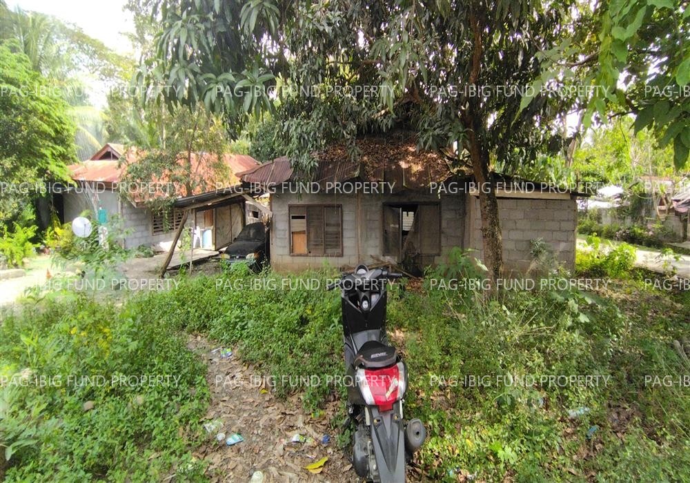 Image for Lot 6096-a Non-Subdivision Talayan, Talayan, Maguindanao, 9612