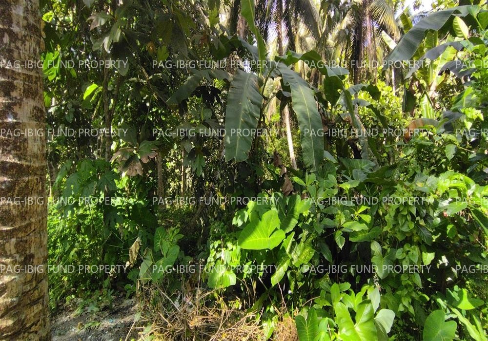 Image for Lot 168-a-01-D-05-E Chio Subdivision Sandakan, Sultan Kudarat, Maguindanao, 9605