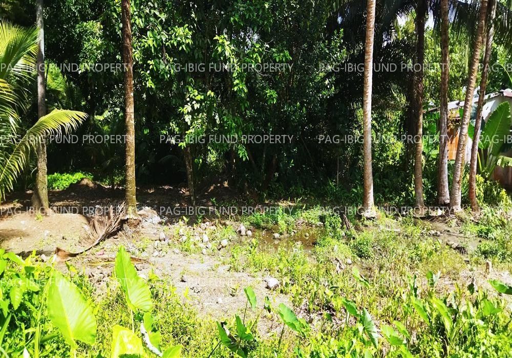Image for Lot 01-D-01-F Non Subdivision Dalumangcob, Sultan Kudarat, Maguindanao,