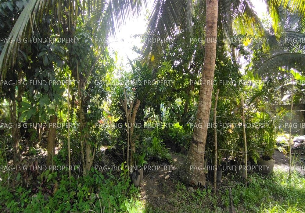 Image for Lot 1-D-4-D Non-Subdivision Dalumangcob, Sultan Kudarat, Maguindanao,