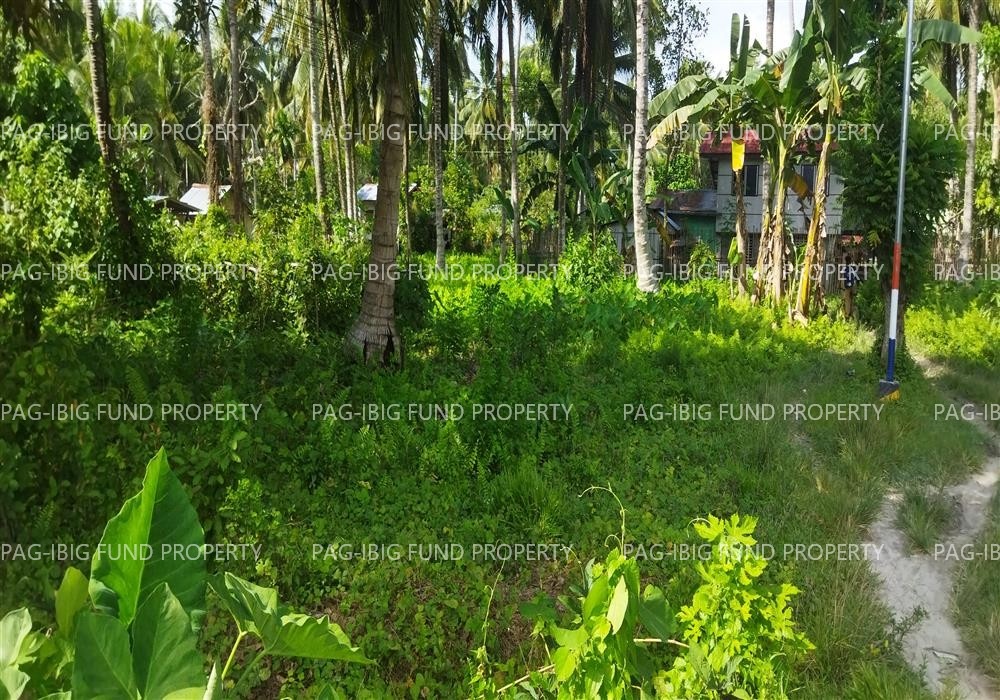 Image for Lot 47-a-09-a Non Subdivision Kalanganan I, Cotabato City, Cotabato City (Not a Province), 9600