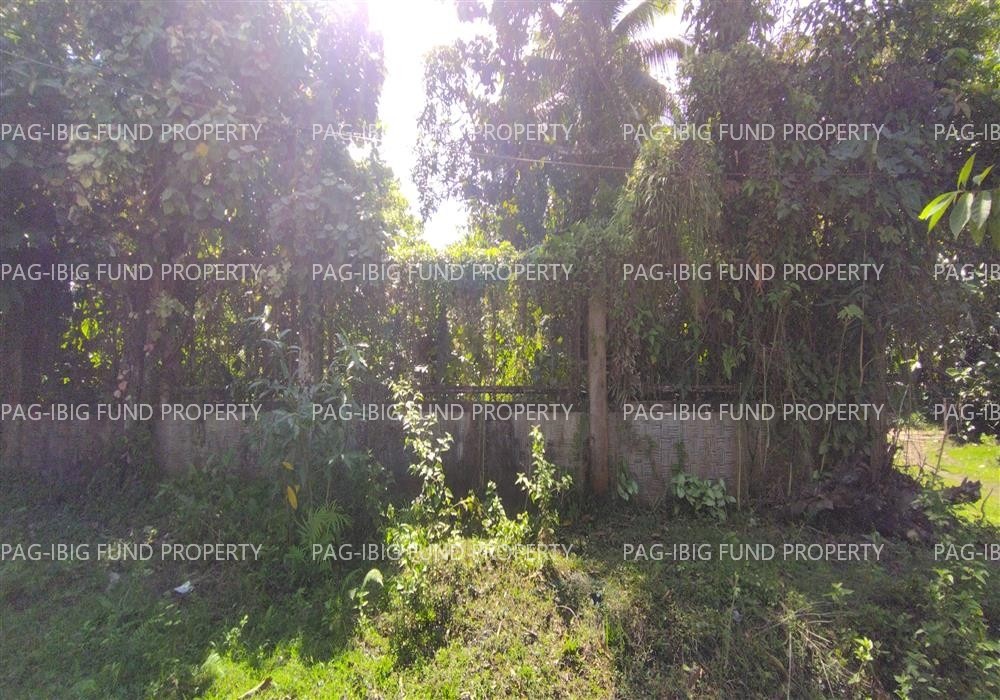 Image for Lot 9 Blk. 15-a Non-Subdivision Dalumangcob, Sultan Kudarat, Maguindanao, 9605