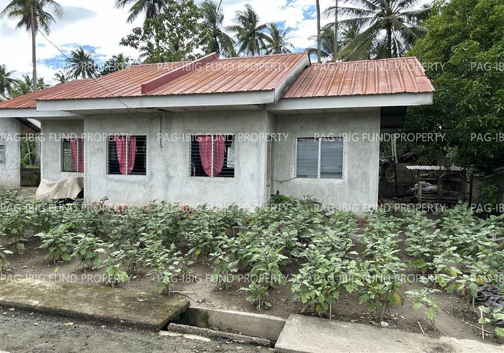 Image for Lot 12 Blk. 8 La Virginia Homes Subdivision Abaga, Lala, Lanao Del Norte, 9211
