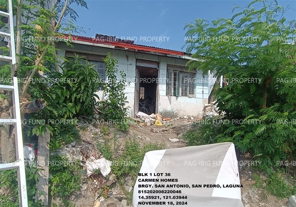 Image for Lot 36 Blk. 1 Carmen Homes San Antonio, San Pedro, Laguna, 4023