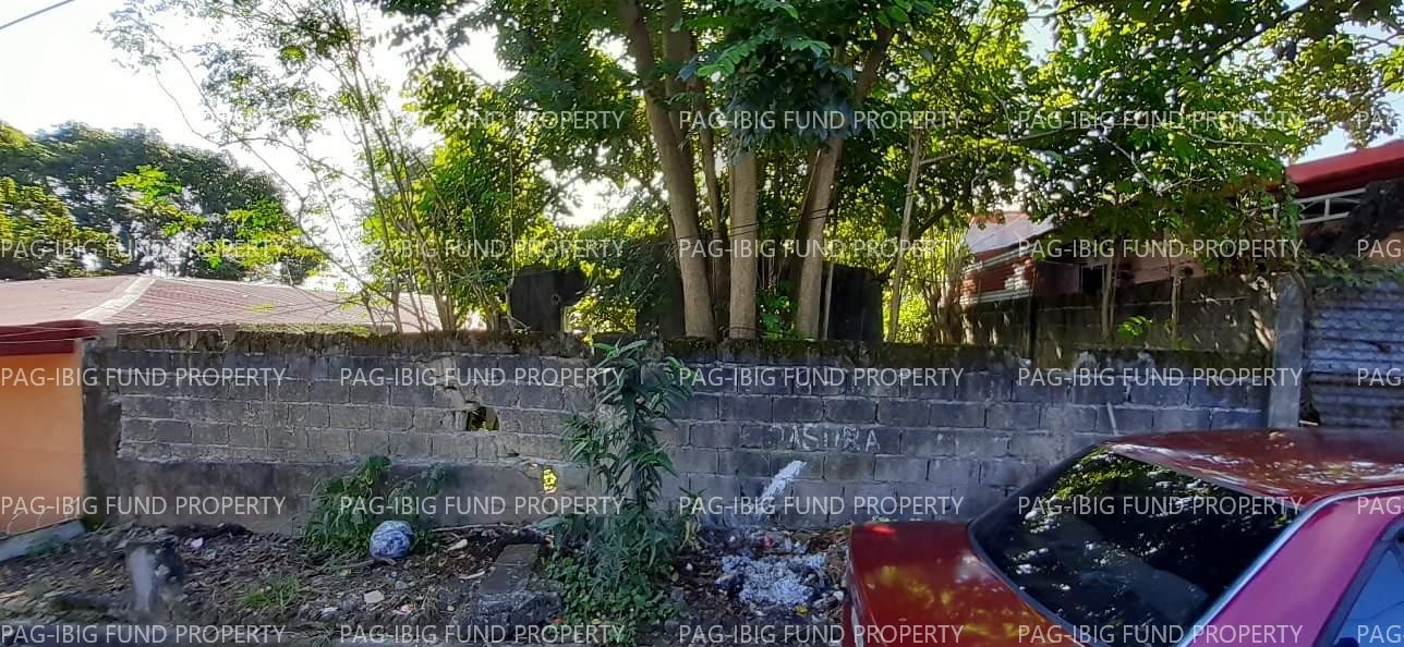 Image for Lot 42 Blk. 1 Phase 1 Sunshine Village Francisco De Castro (Sunshine Vill.), Gen. Mariano Alvarez, Cavite, 4117