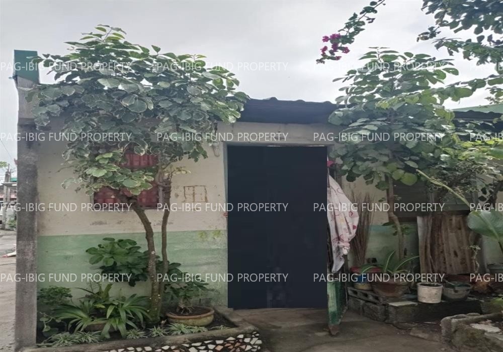 Image for Lot 1 Blk. 13 Phase 1 Ext a Mabuhay City-Cabuyao Baclaran, Cabuyao, Laguna, 4025