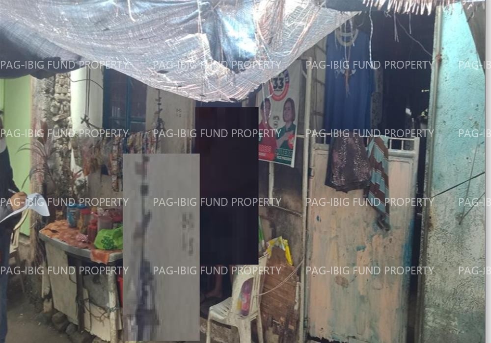 Image for Lot 5 Blk. 2 Now 42 Samahang Magkakapitbahay Ng Purok VI San Luis, Antipolo City, Rizal, 1870