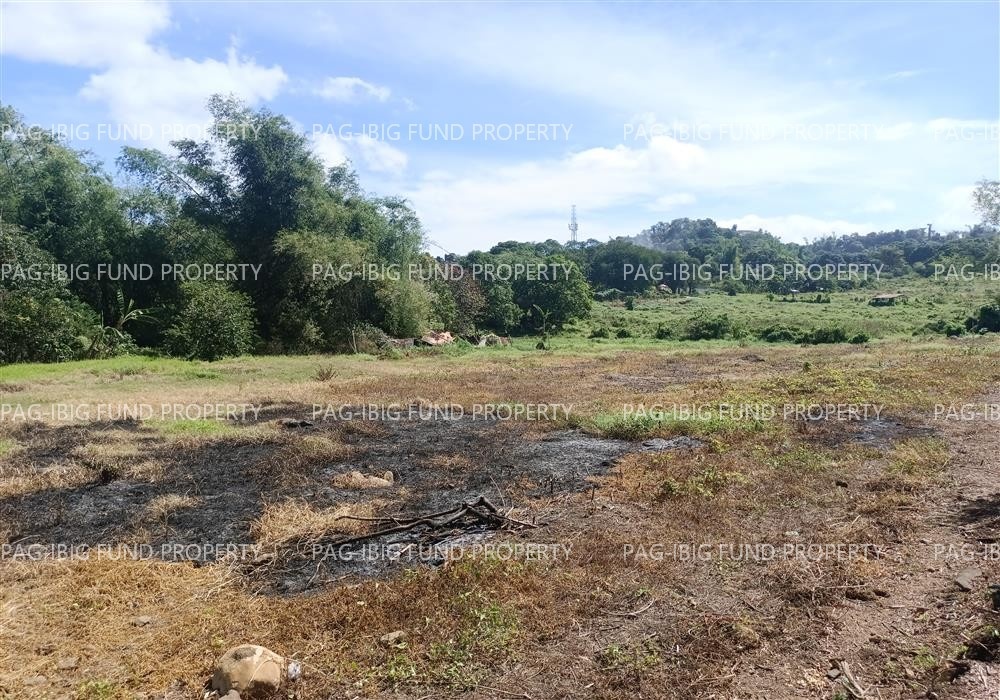 Image for Lot a-15 Non Subdivision - Rizal Kalawaan, Binangonan, Rizal, 1940