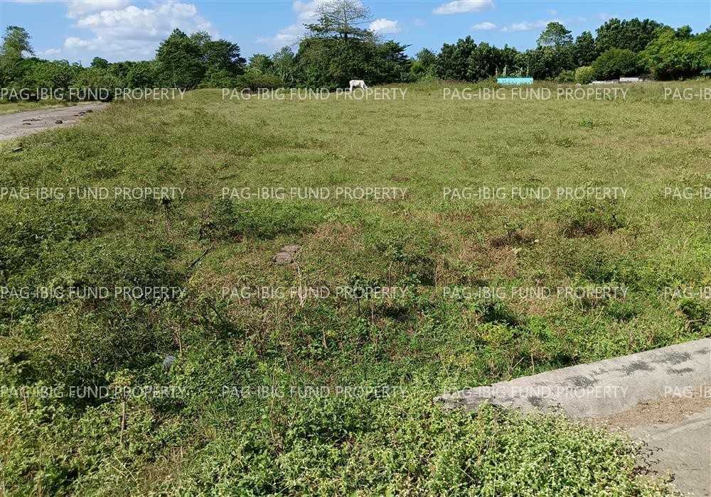 Image for Lot 13 Blk. 10 Fidgie Subdivision San Agustin (Pob.), Trece Martires City, Cavite, 4109