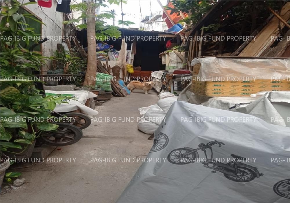 Image for Lot 14 Blk. 4 Int. S. De Guzman St. (Vitales St. #115C) Non-Subdivision Barangay 164, Pasay City, NCR, Fourth District, 1300