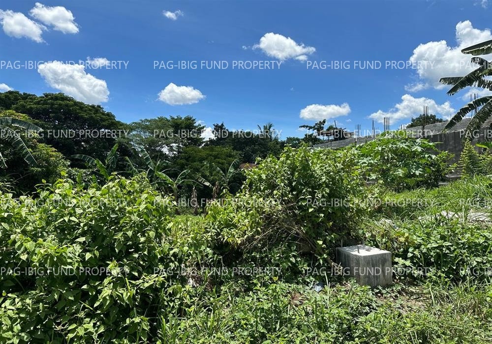 Image for Lot 9 Blk. 7 St Dominic Subdivision Barangay 168, Kalookan City, NCR, Third District, 1420