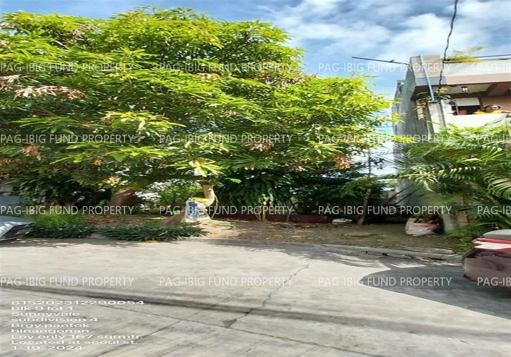 Image for Lot 1 Blk. 9 Sunnyvale Subdivision Pantok, Binangonan, Rizal, 1940