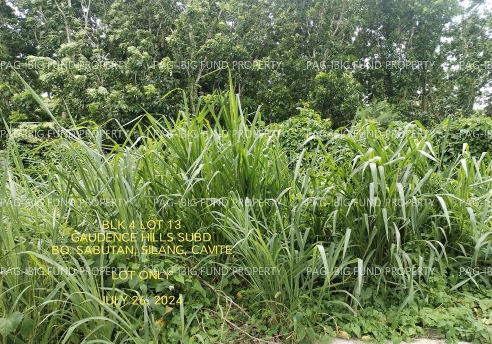 Image for Lot 13 Blk. 4 Gaudence Hills Subd Sabutan, Silang, Cavite, 4118
