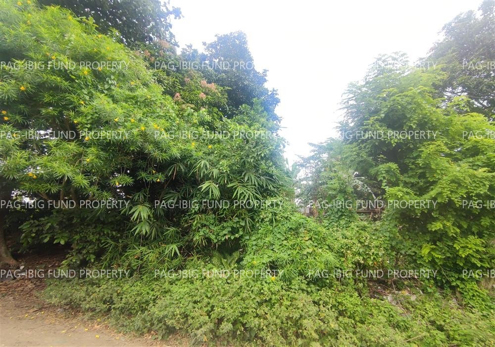 Image for Lot 2 Blk. 4 Arizona St. Cityview Homes Sampaloc III, Dasmariñas, Cavite, 4114