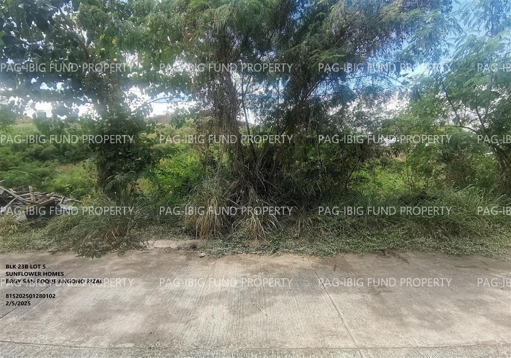 Image for Lot 5 Blk. 23B Sunflower Homes San Roque, Angono, Rizal, 1930