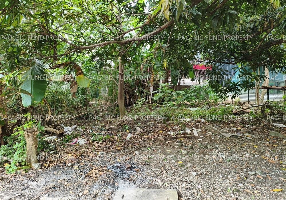 Image for Lot 32 Blk. 22 Phase 3 Camella Homes Springville Heights Molino III, Bacoor, Cavite, 4102