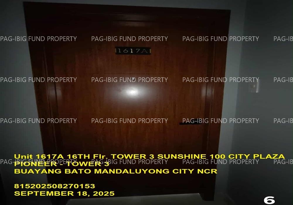 Image for Unit 1617A 16th Flr. Sunshine 100 City Plaza Pioneer - Tower 3 Buayang Bato, Mandaluyong City, NCR, Second District, 1550