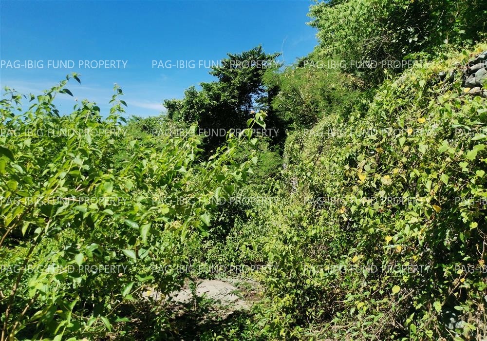 Image for Lot 6 Blk. 10 Phase III Northcrest Bgy. No. 54-a, Lagui-Sail, Laoag City, Ilocos Norte, 2900
