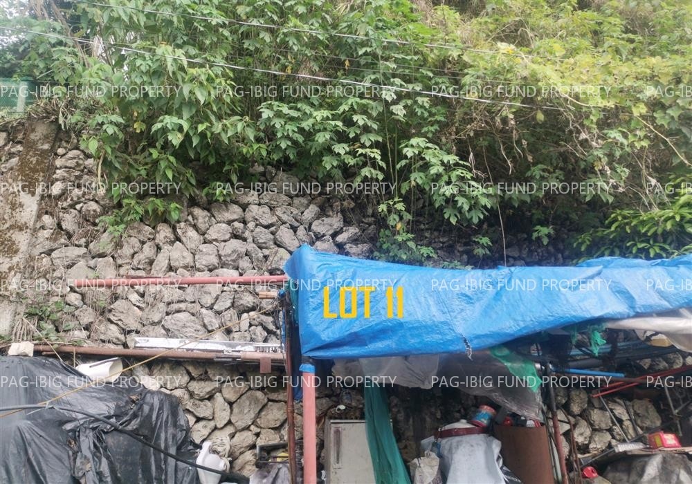 Image for Lot 11 Blk. 8 Phase 1 Sunflower Homes Alno, La Trinidad (Capital), Benguet, 2601