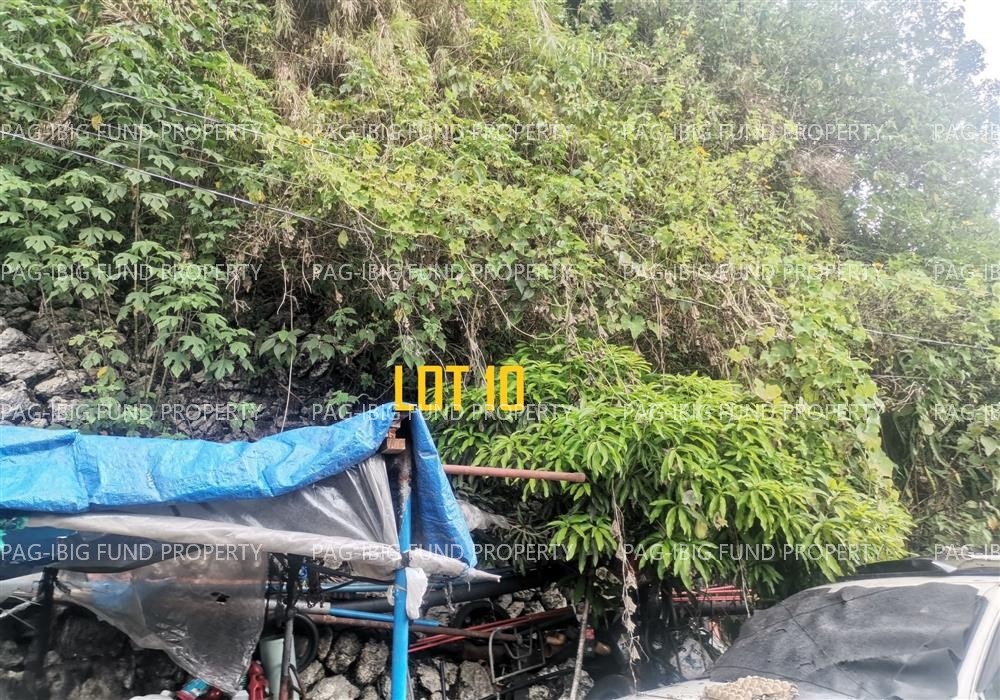 Image for Lot 10 Blk. 8 Phase 1 Sunflower Homes Alno, La Trinidad (Capital), Benguet, 2601