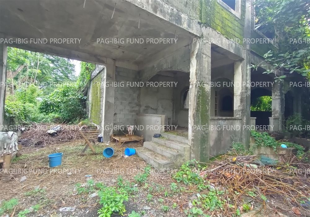 Image for Lot 111 Non-Subdivision Poblacion East, Natividad, Pangasinan, 2446