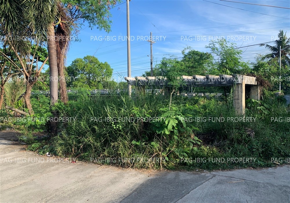 Image for Lot 2-E Bras D or Del Rio Subdivision Angio, San Fabian, Pangasinan, 2433