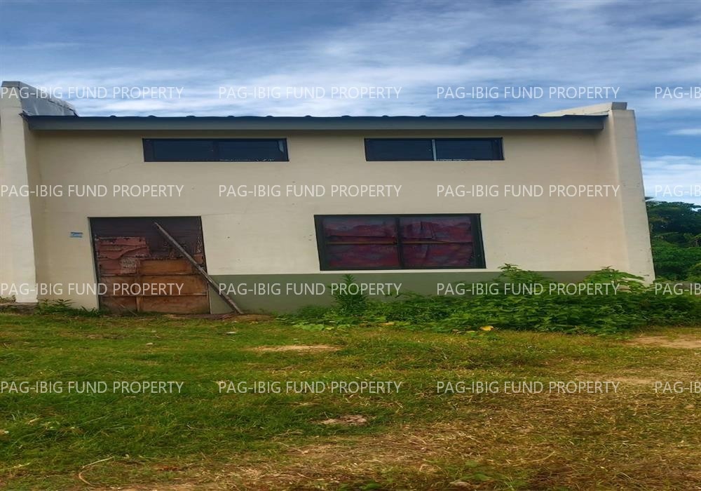 Image for Lot 2 Blk. 1 Villa Jesusa I Subdivision Alibagu, Ilagan (Capital), Isabela, 3300