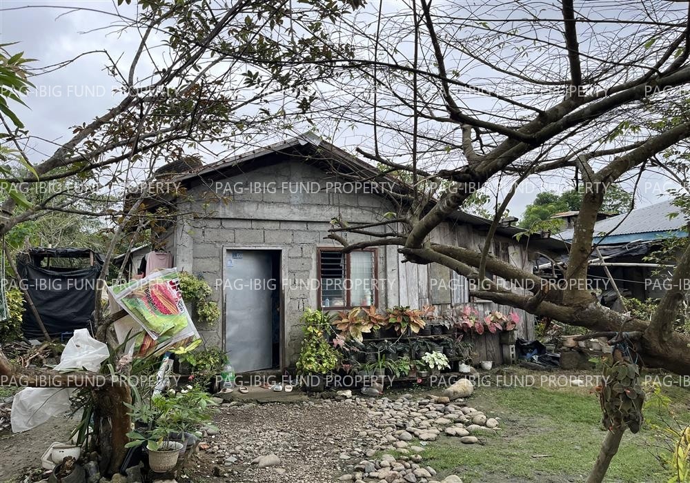 Image for Lot 5-E Non-Subdivision Masipi East, Cabagan, Isabela, 3328