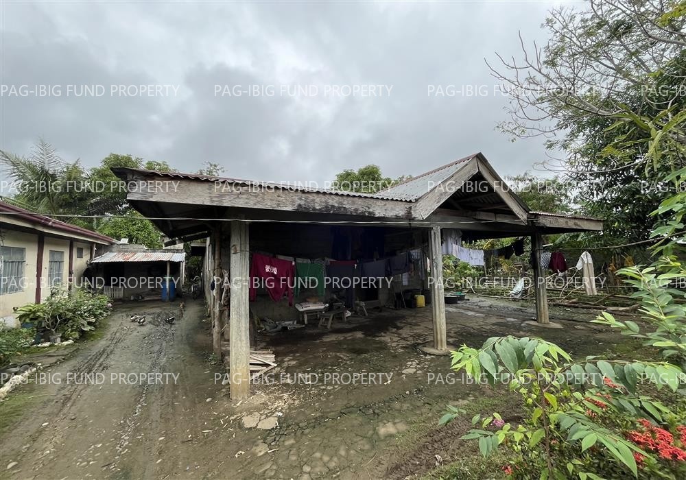 Image for Lot 4-L Non-Subdivision Masipi East, Cabagan, Isabela, 3328