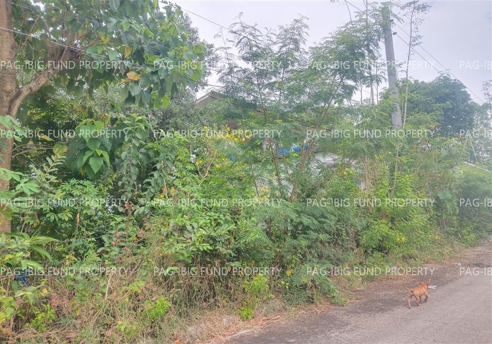 Image for Lot 8 Blk. 14 Richmond Hills Subdivision Alibagu, Ilagan (Capital), Isabela, 3300