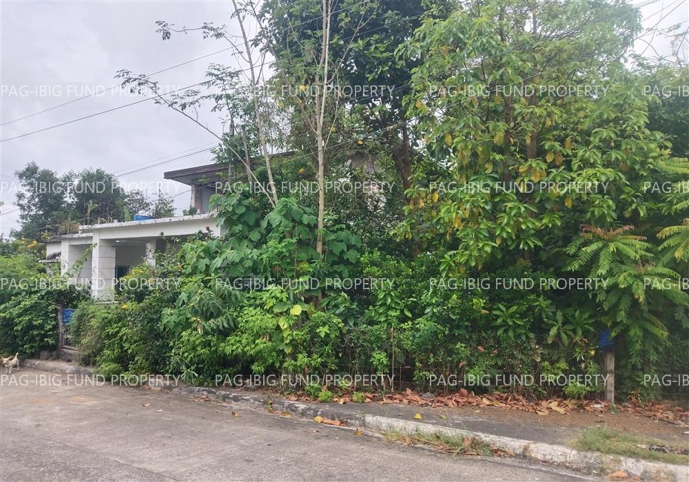 Image for Lot 1 Blk. 14 Richmond Hills Subdivision Alibagu, Ilagan (Capital), Isabela, 3300