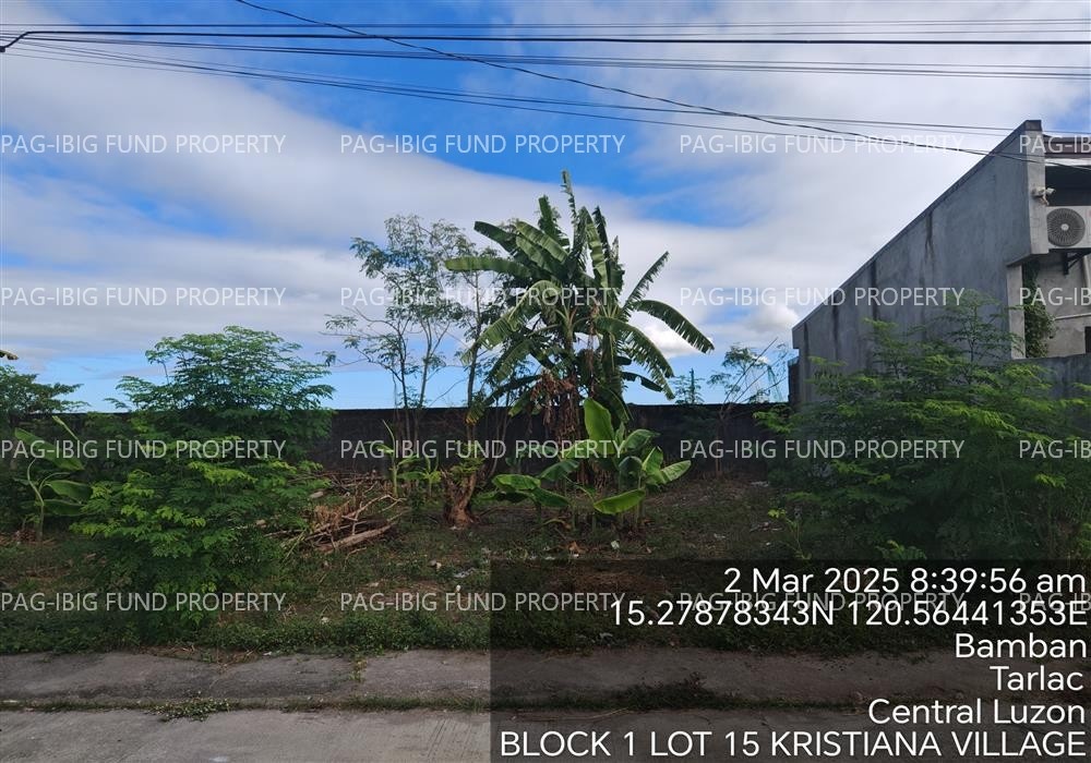 Image for Lot 15 Blk. 1 Kristiana Village San Roque, Bamban, Tarlac, 2317